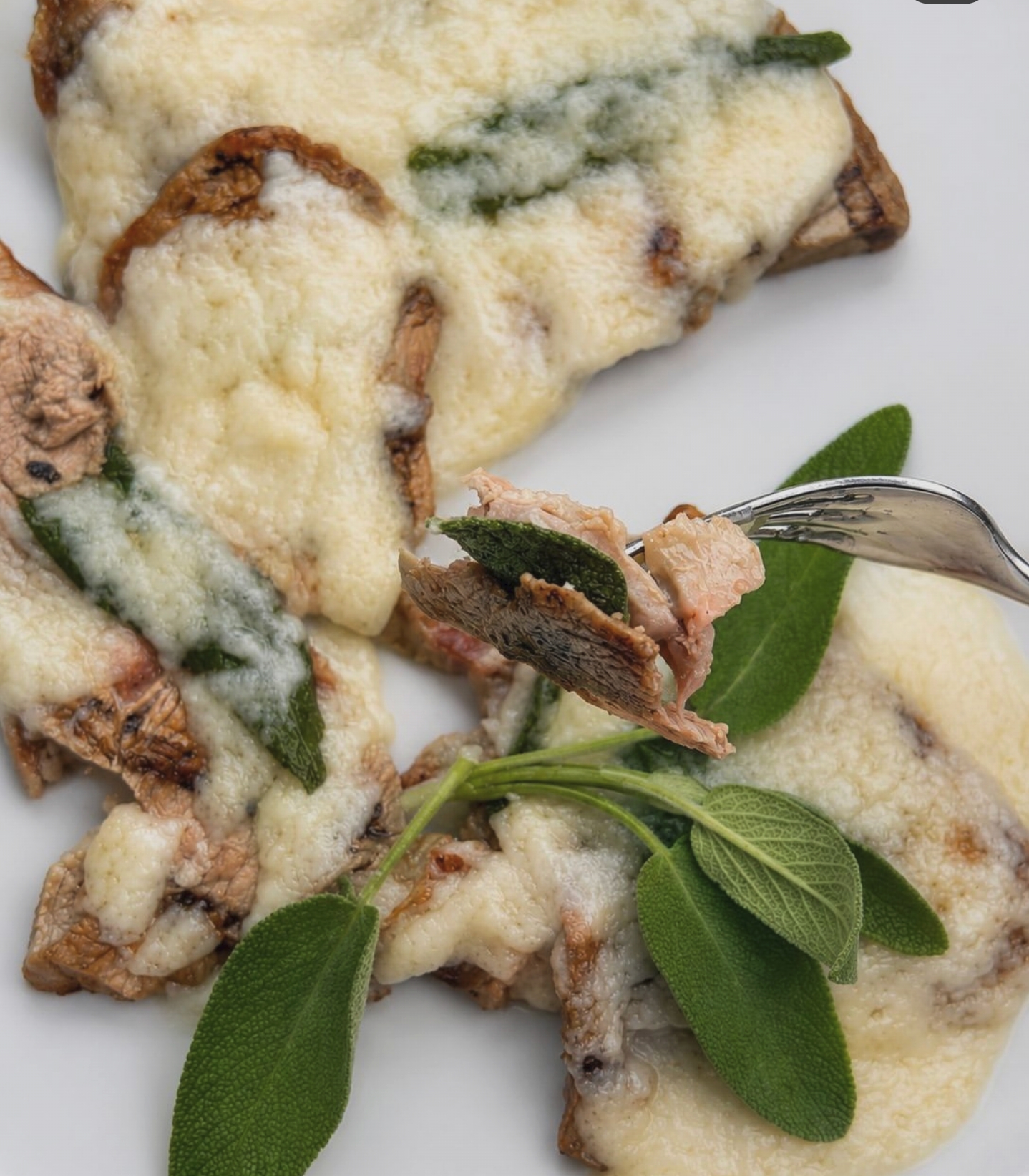 Ristorante Da Tonino